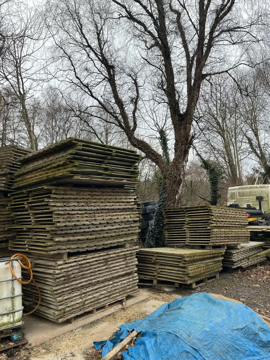 Yard clear out - Image 1