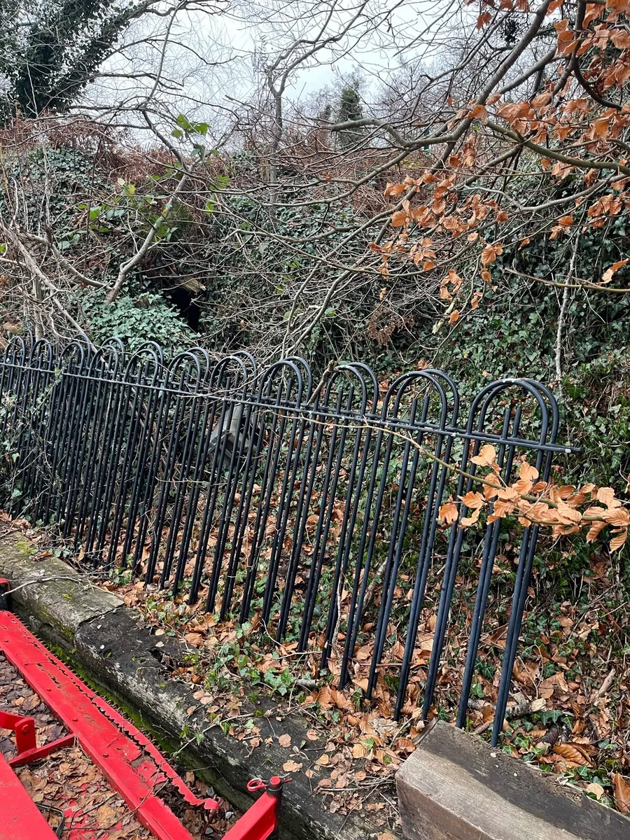 Yard clear out - Image 3