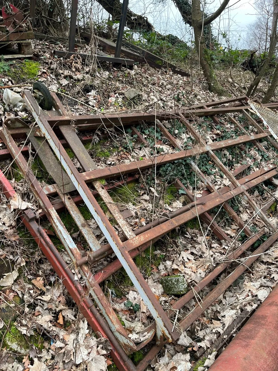 Yard clear out - Image 4