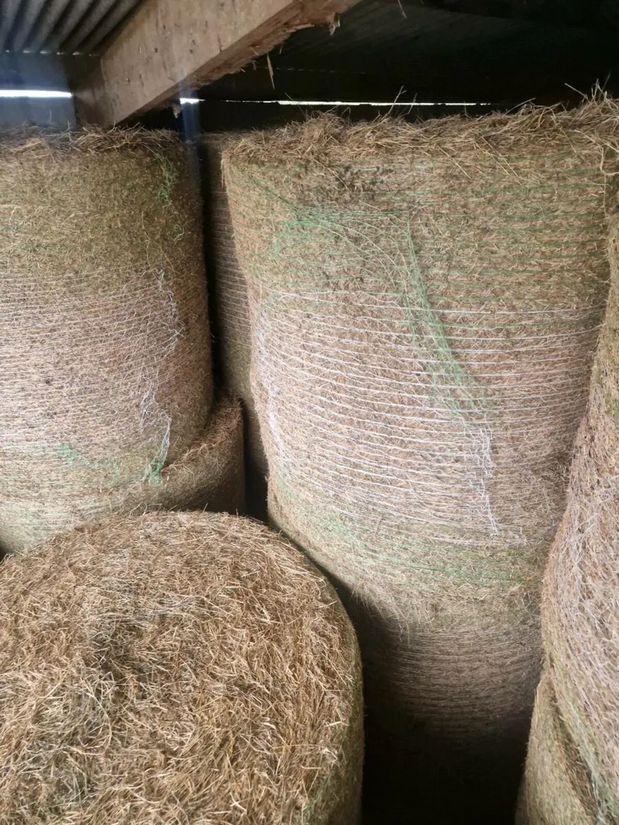 80 bale's of hay - Image 3
