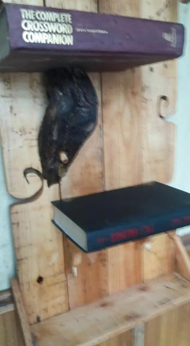 Rustic Wall Hang Shelves made from old books - Image 4