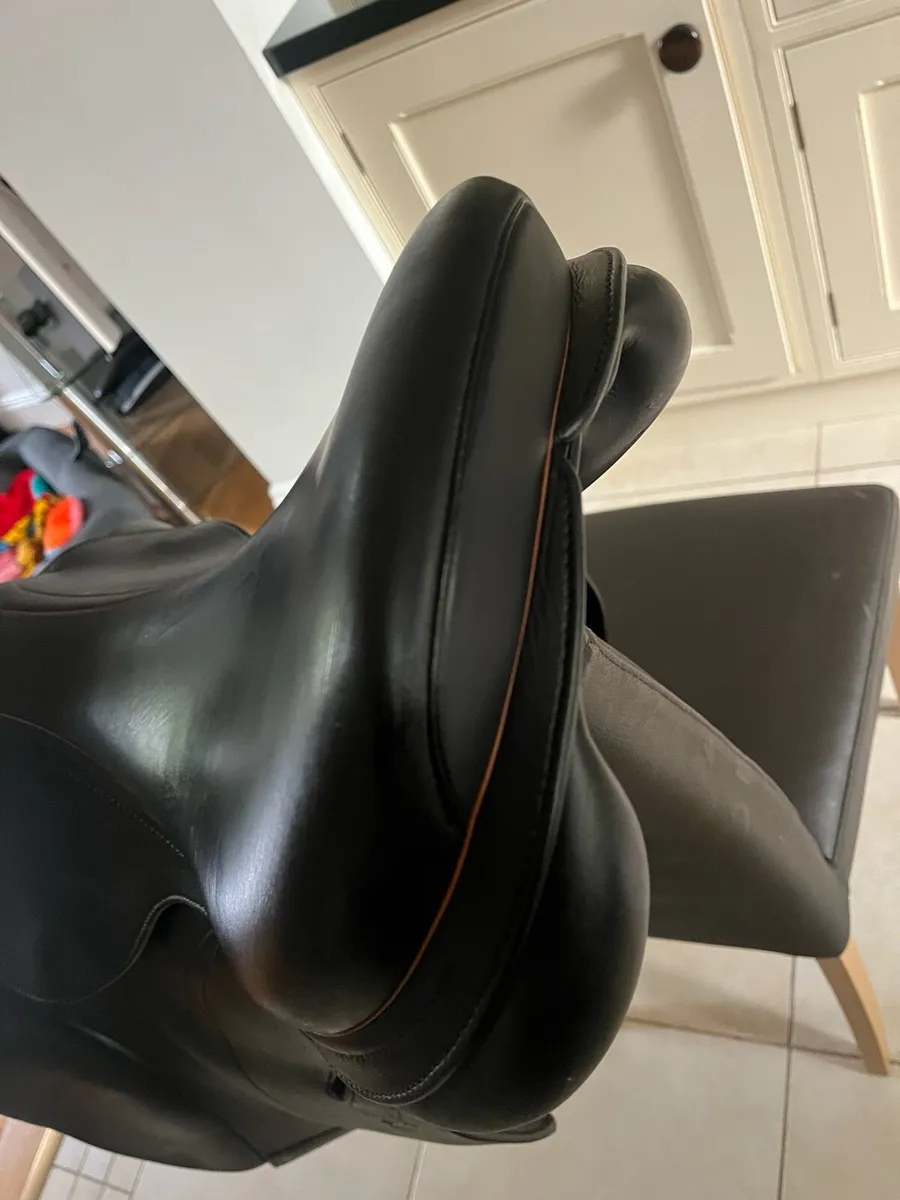 Equipe Expression Saddle - Image 4