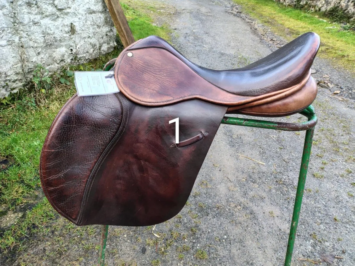 Saddle Clearance - Image 1