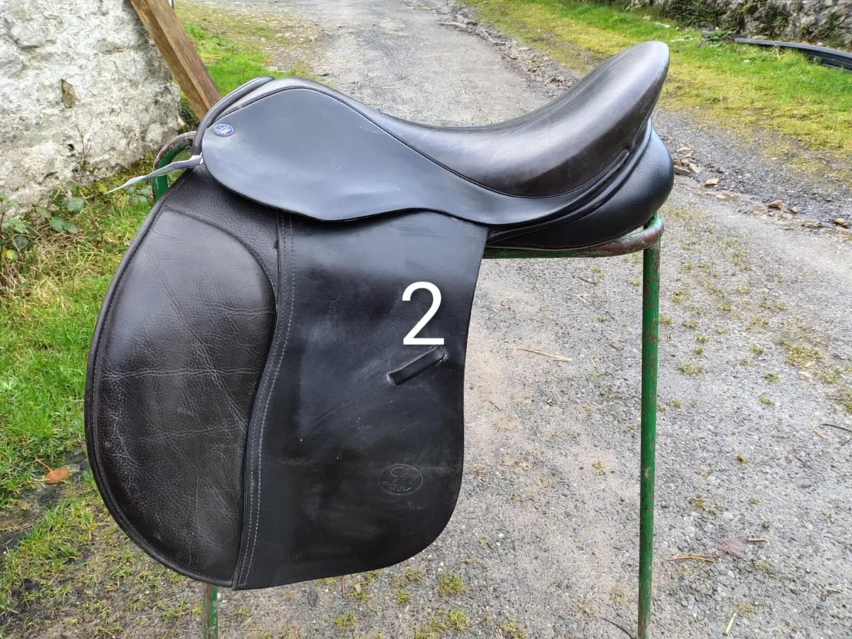 Saddle Clearance - Image 2