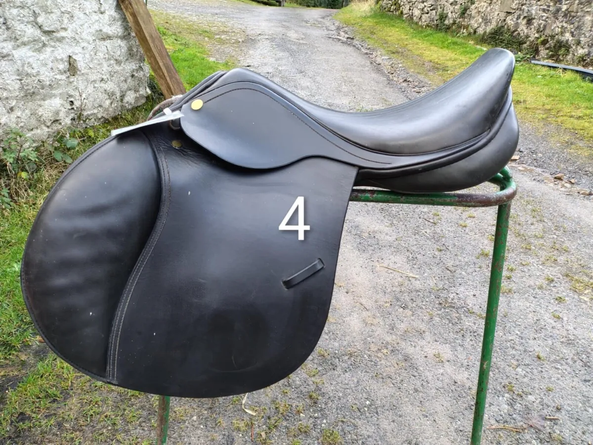 Saddle Clearance - Image 4