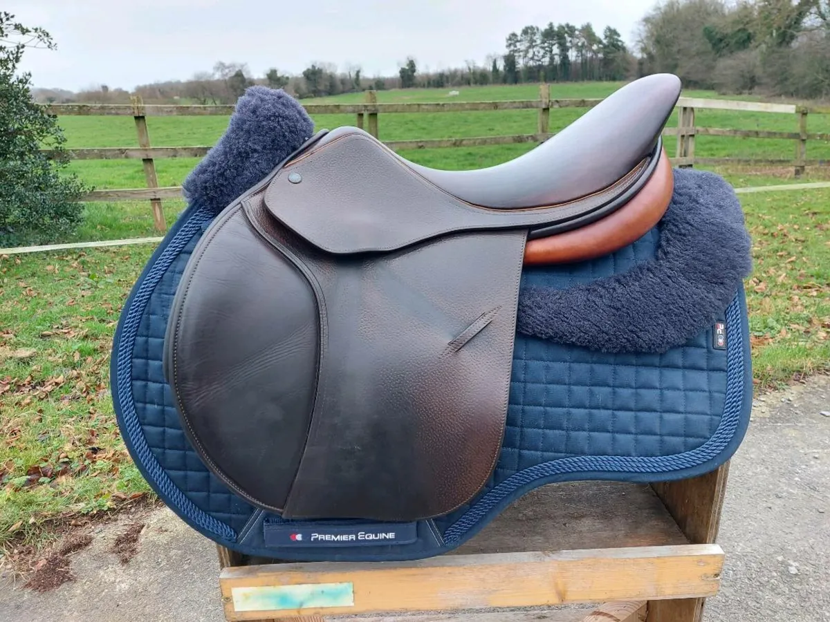 Childeric FSP Jumping saddle - Image 1