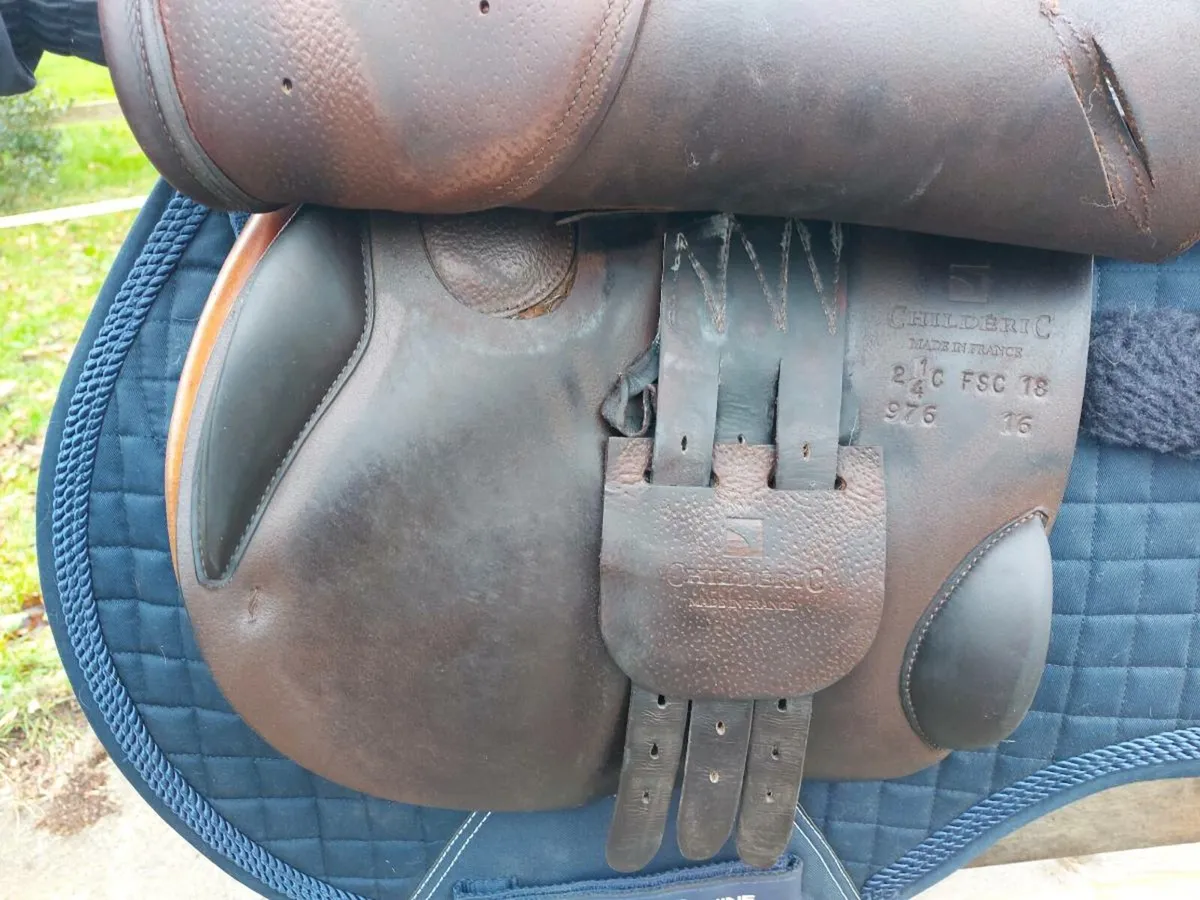 Childeric FSP Jumping saddle - Image 2