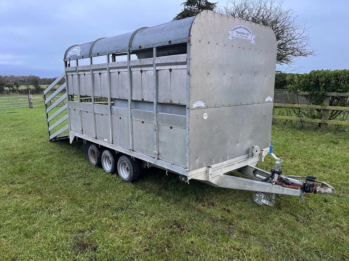 Graham Edwards cattle trailer - Image 2