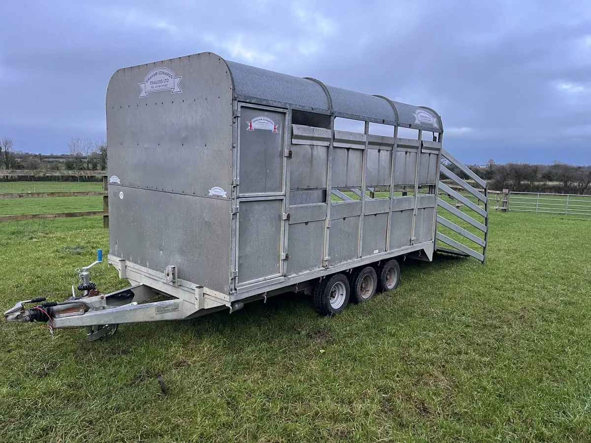 Graham Edwards cattle trailer - Image 3