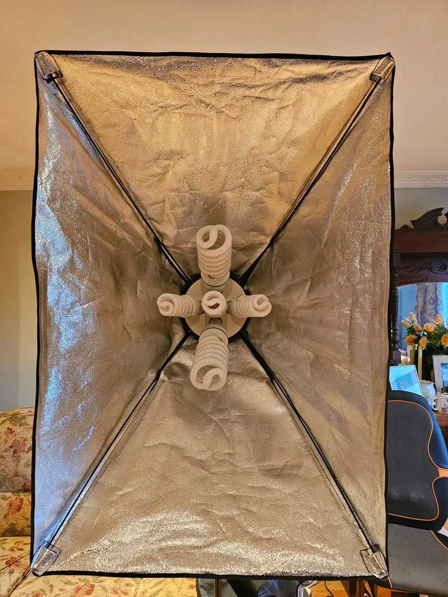 Softbox lights for studio lighting 200W variable - Image 4