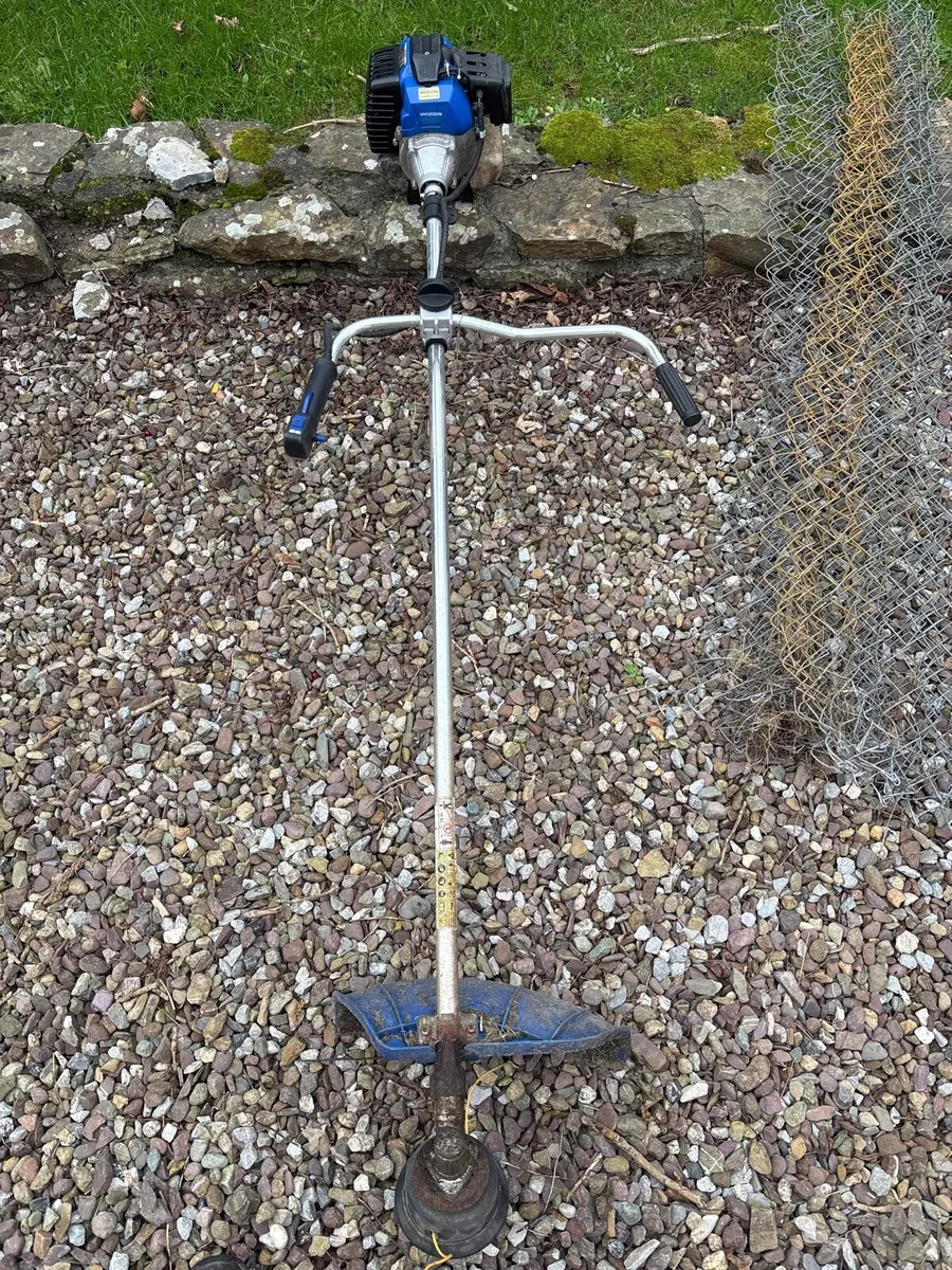 Garden Strimmer - Image 1