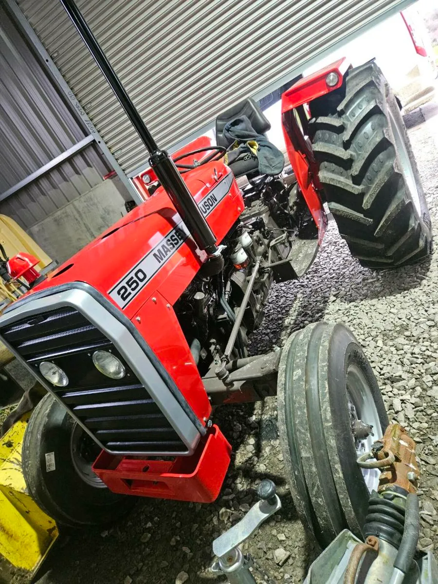 Massey 250 - Image 1
