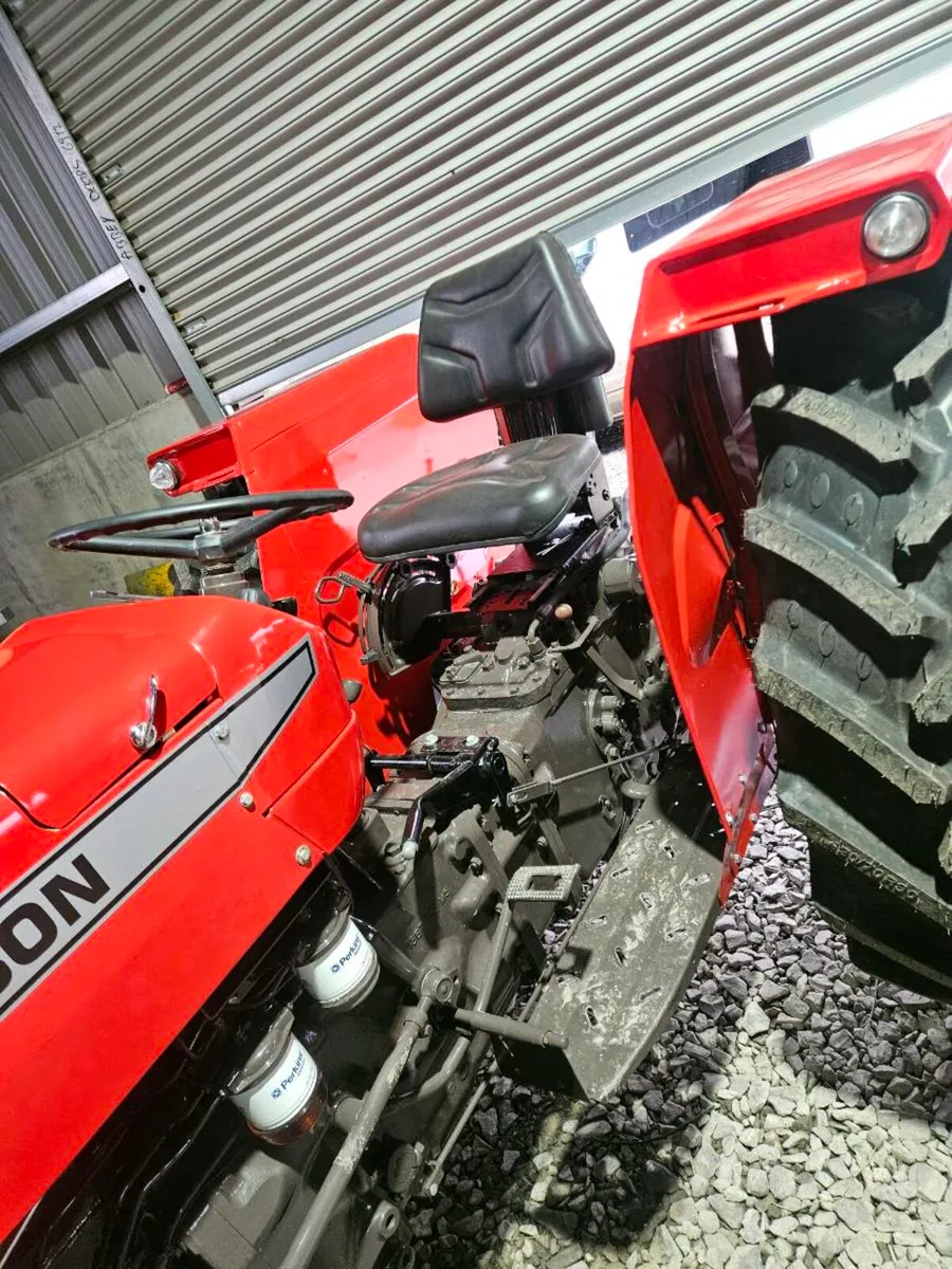 Massey 250 - Image 3