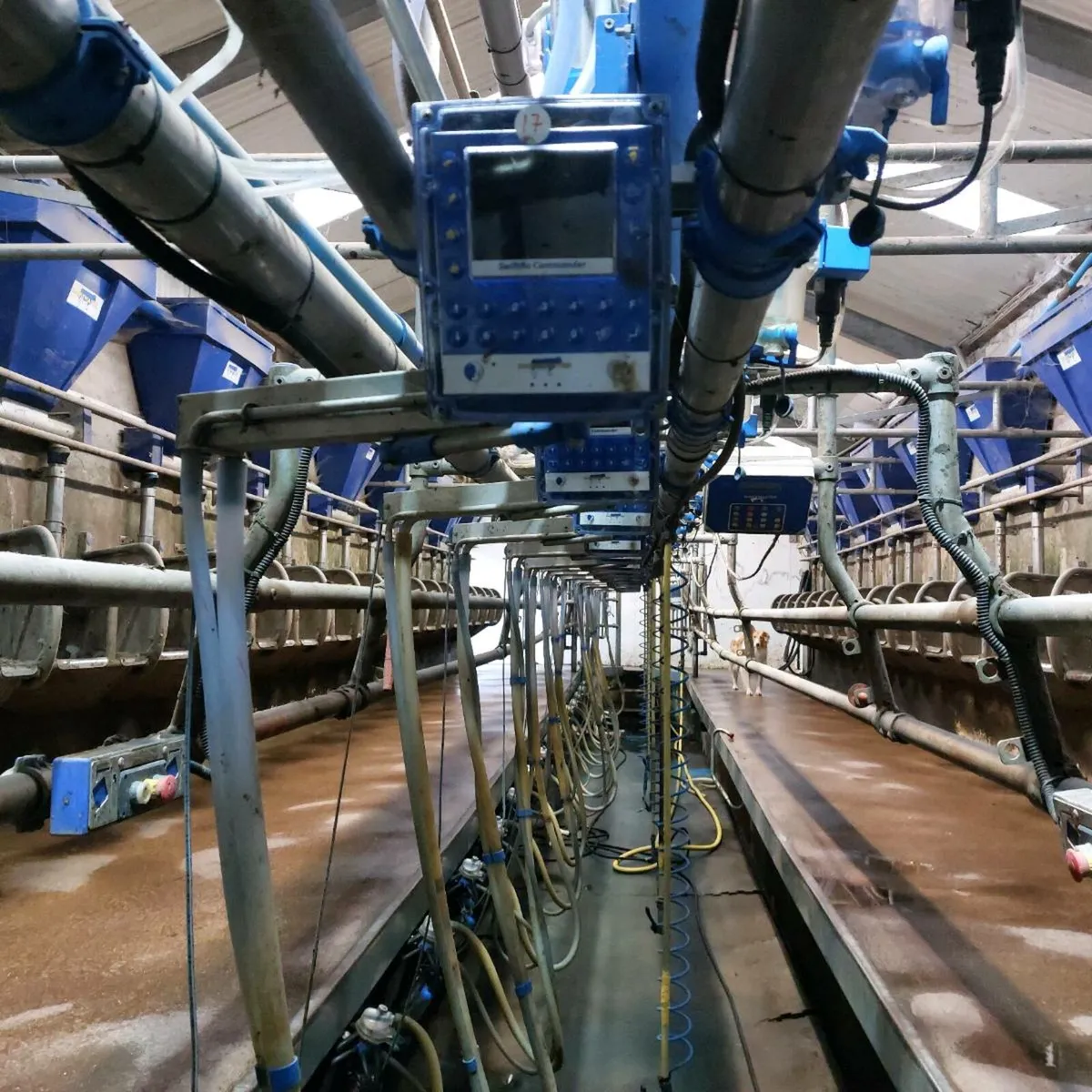 Part Time Help - Image 2