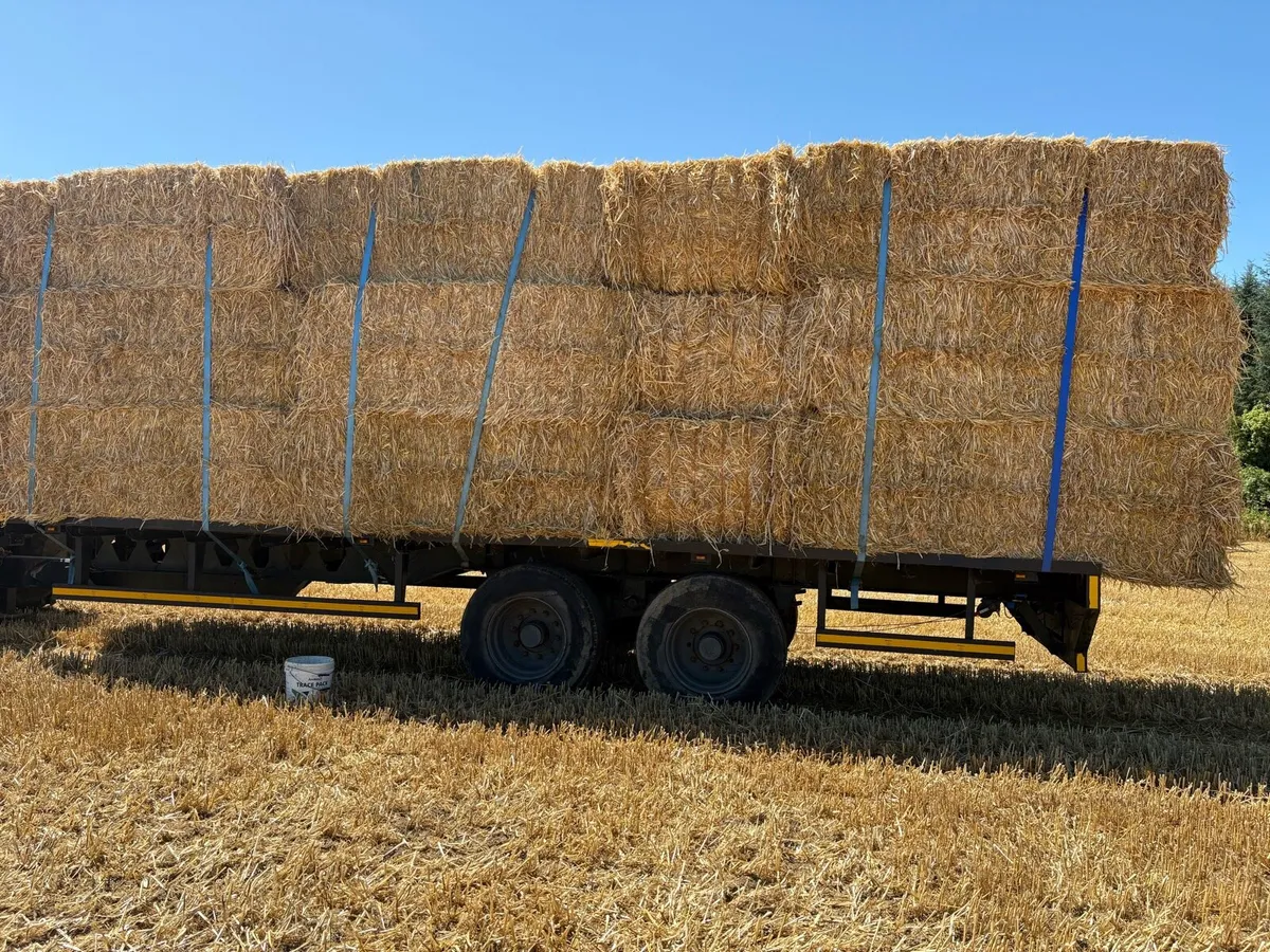 Barley/ Wheat straw - Image 2