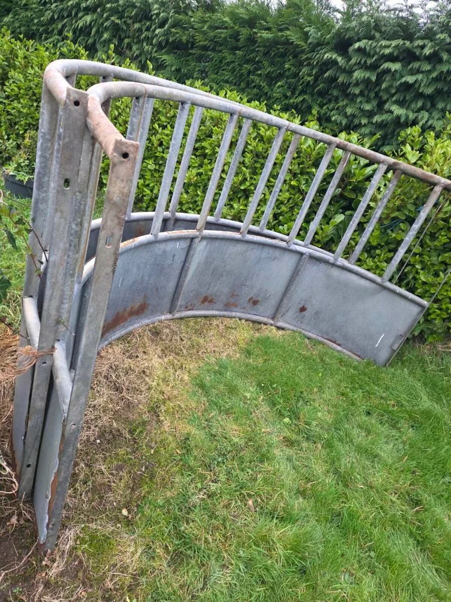 Ring Feeder (cattle)