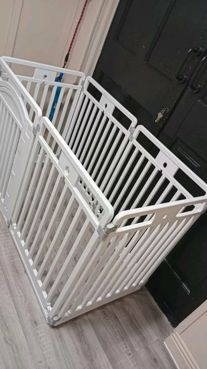 New dog pen - Image 2