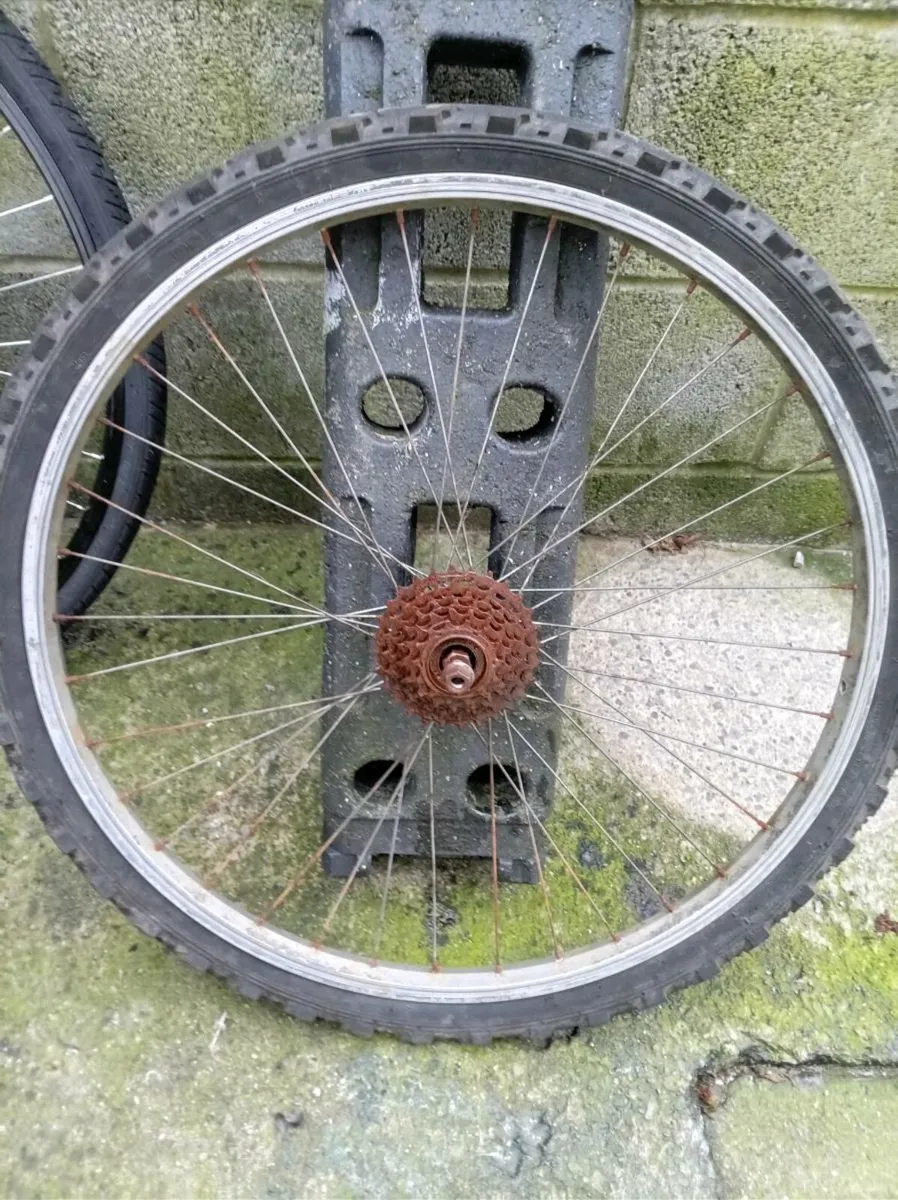 26" bicycle rear wheel - Image 1