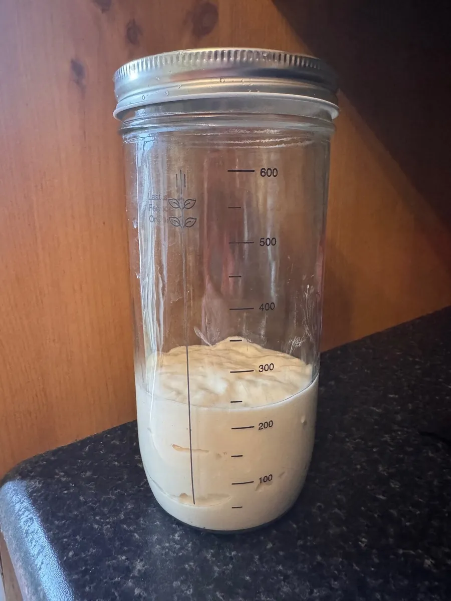 10-Year-Old Wheat Sourdough Starter - Image 2