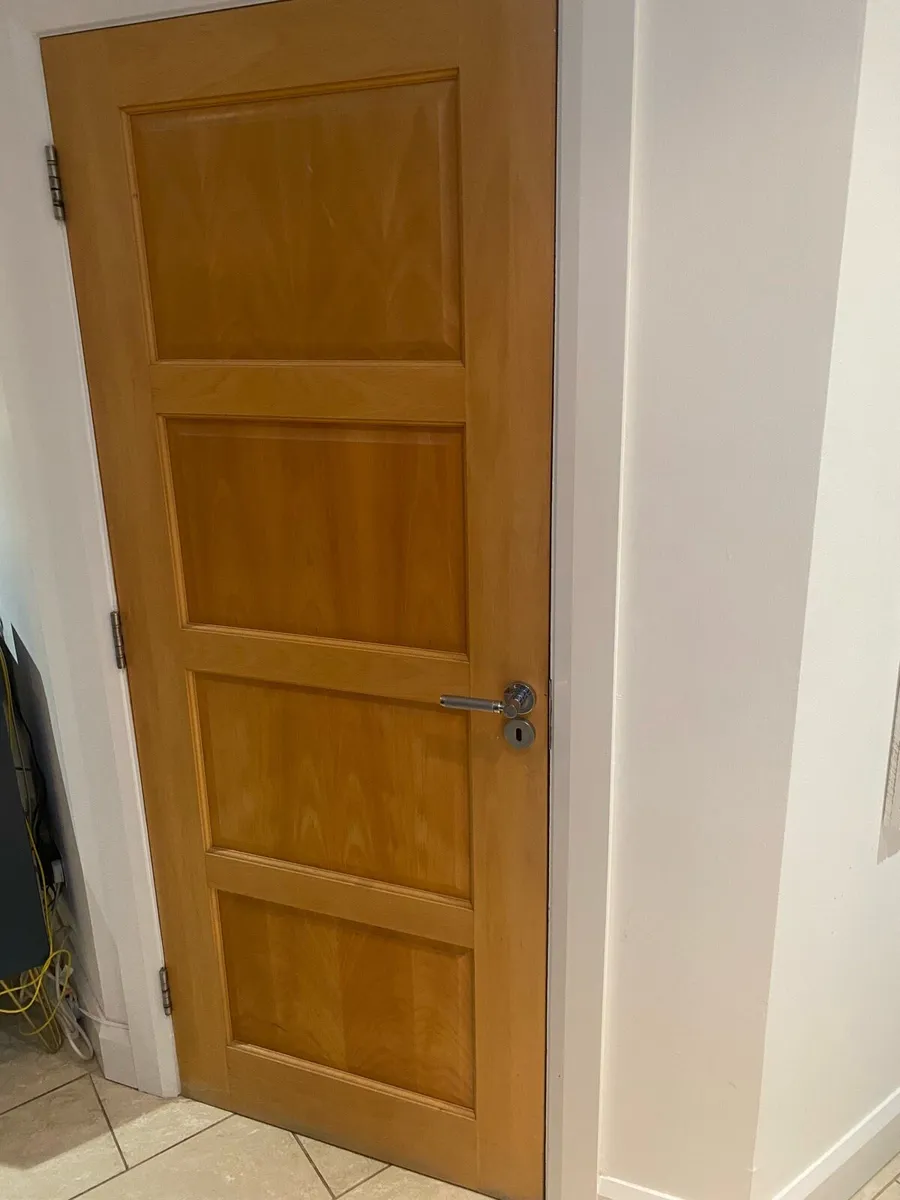Internal Doors - Image 2