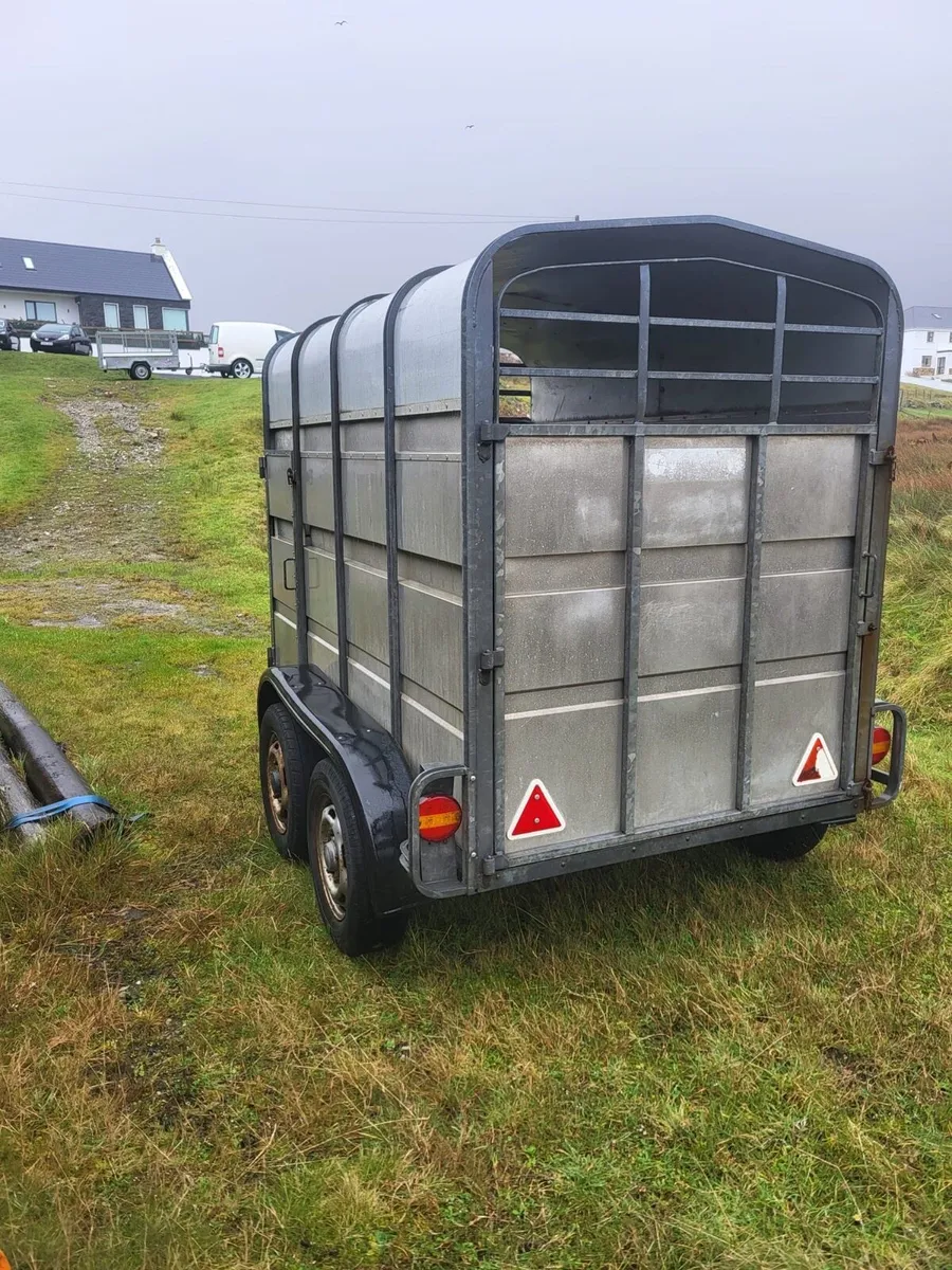 8x5 jim Murphy trailer - Image 1