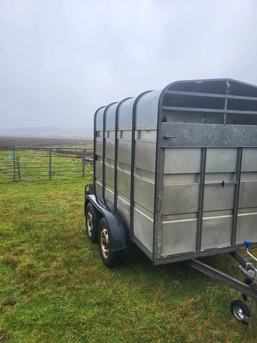 8x5 jim Murphy trailer - Image 2