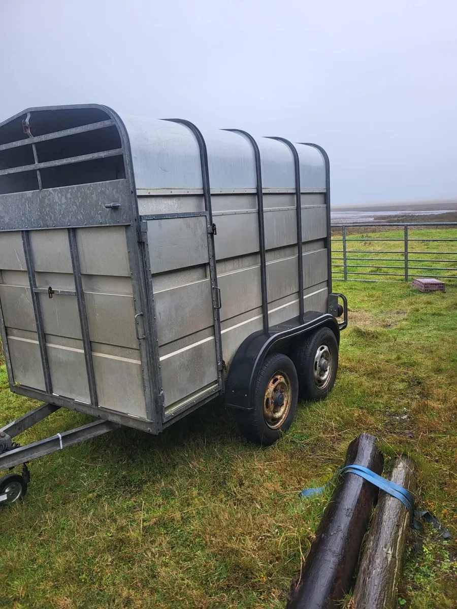 8x5 jim Murphy trailer - Image 3