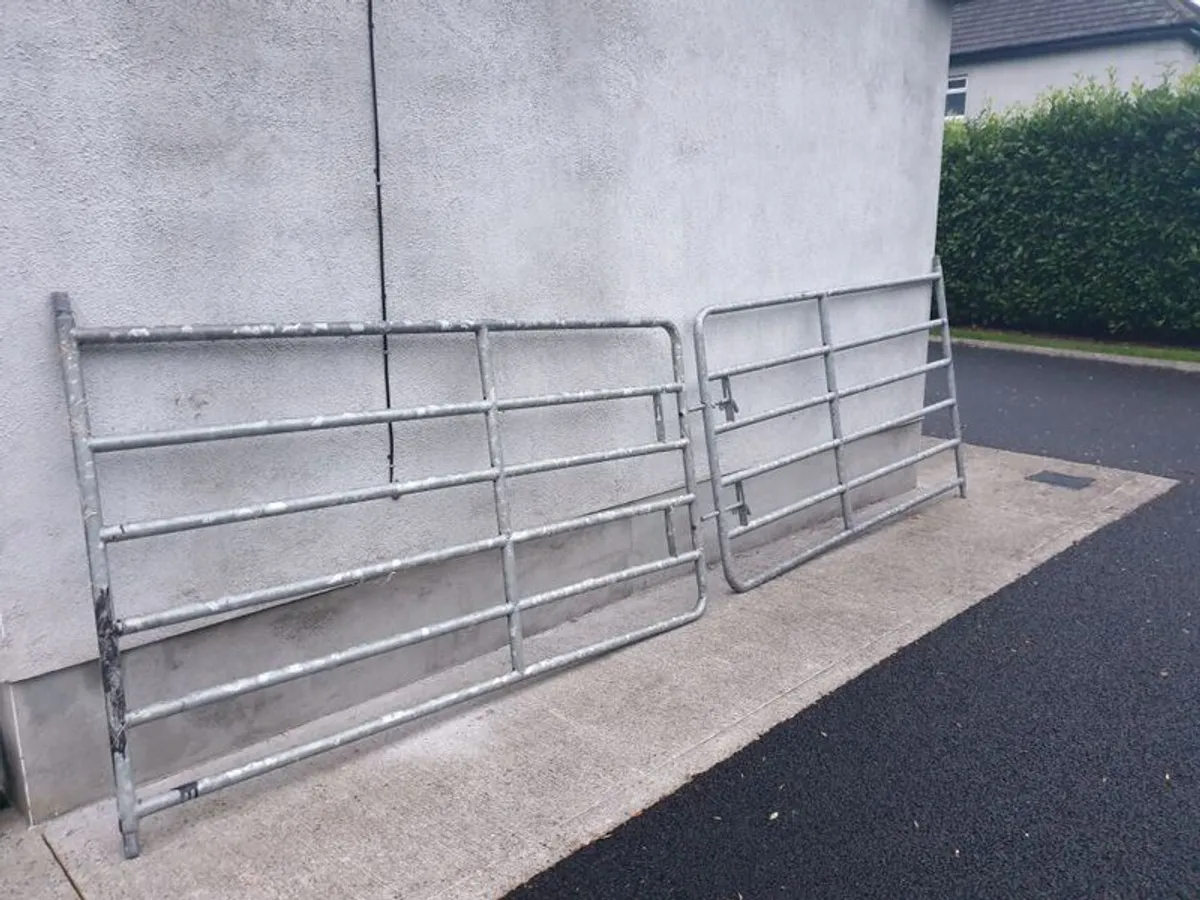 Galvanised Gates - Image 1