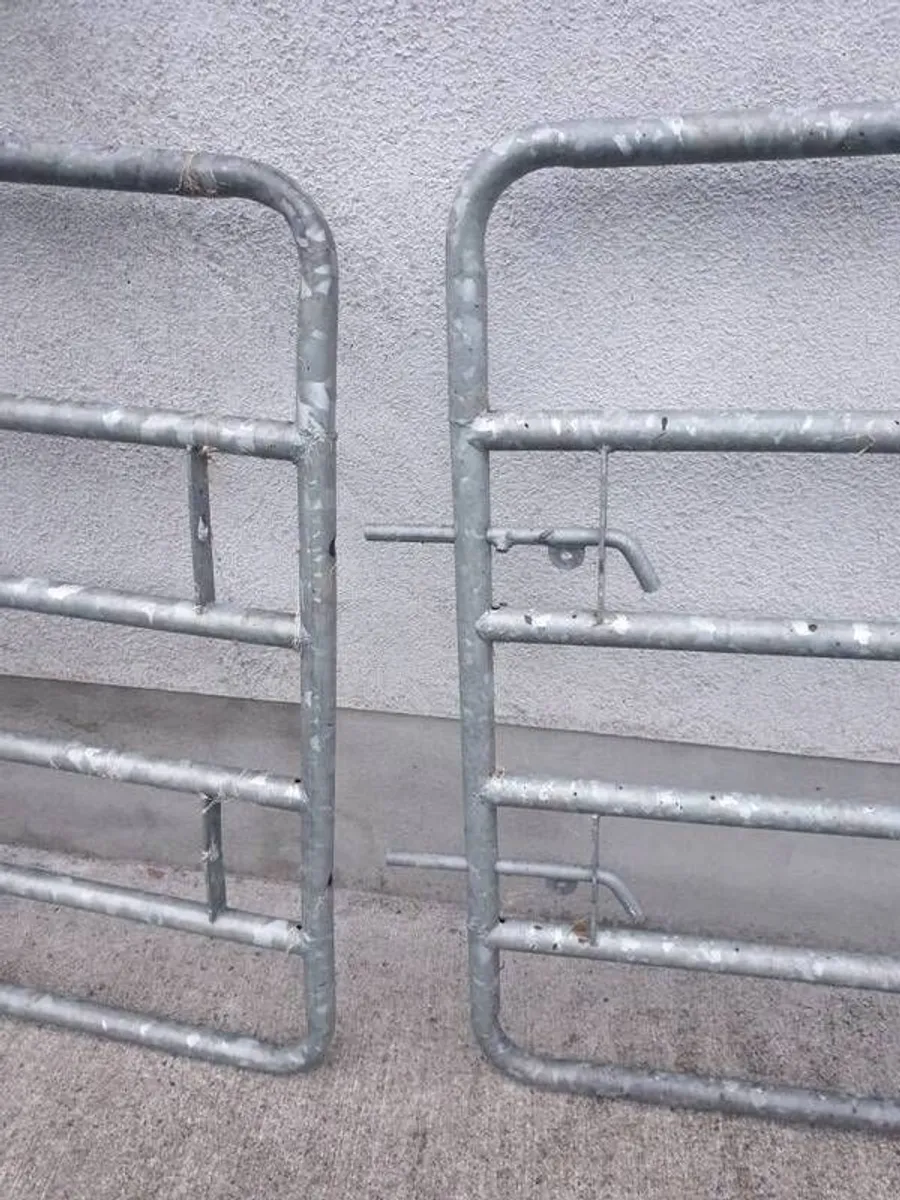 Galvanised Gates - Image 2