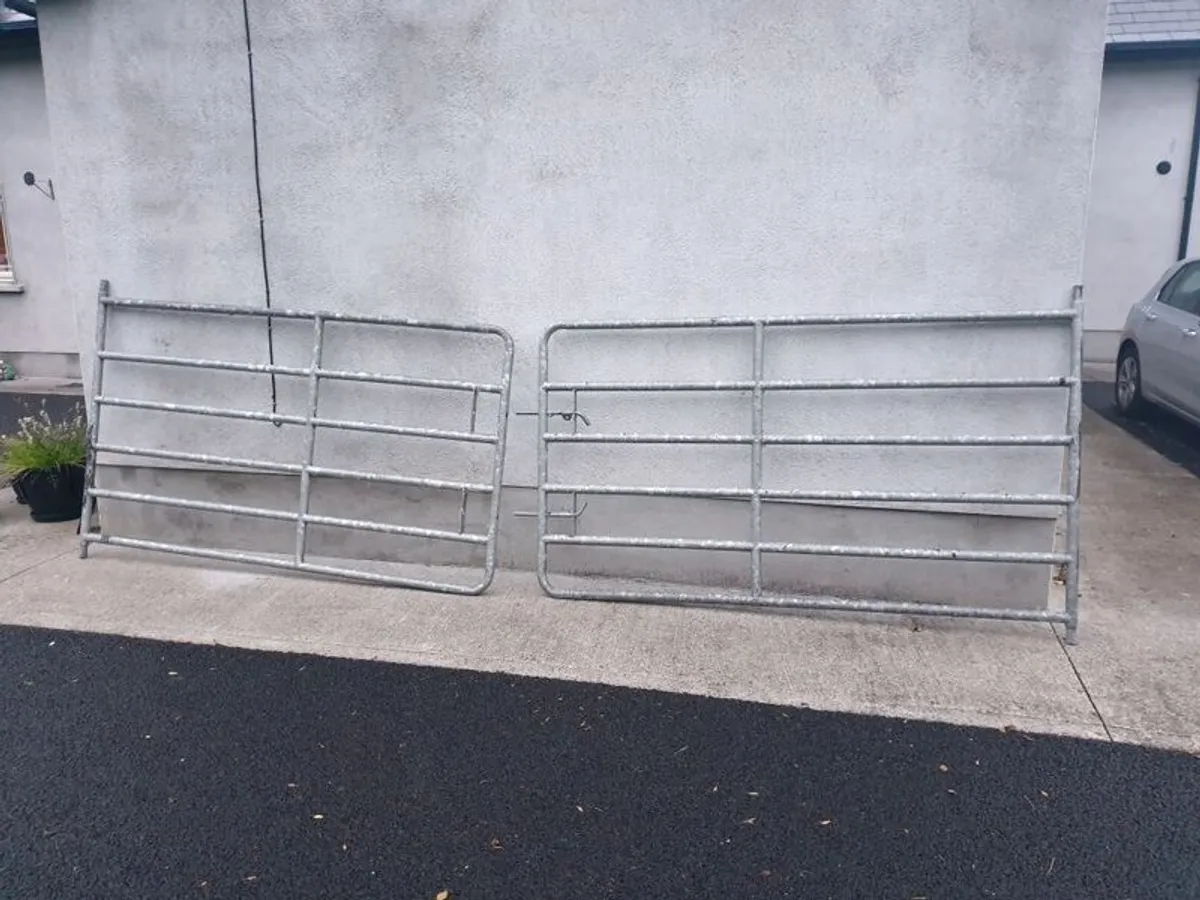 Galvanised Gates - Image 3