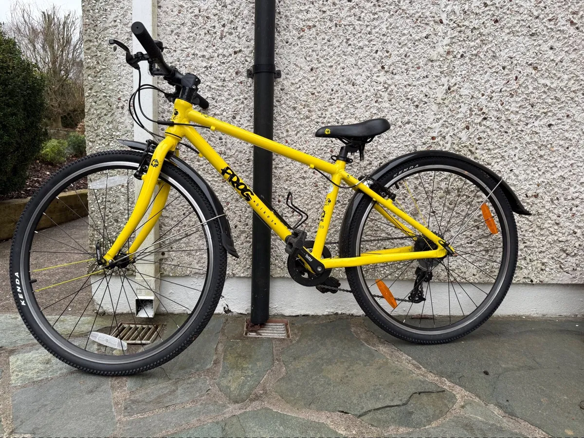 Frog 69, child’s bicycle - Image 2