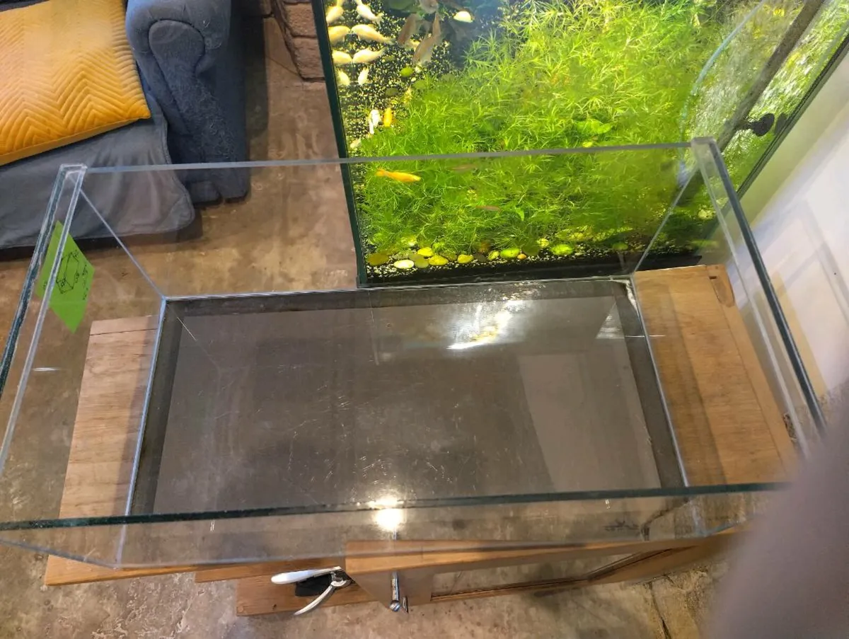 Fish tank with stand - Image 3