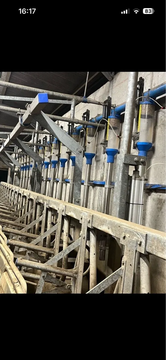 Dairymaster 16 Unit Pneumatic Batch Feeding System - Image 4