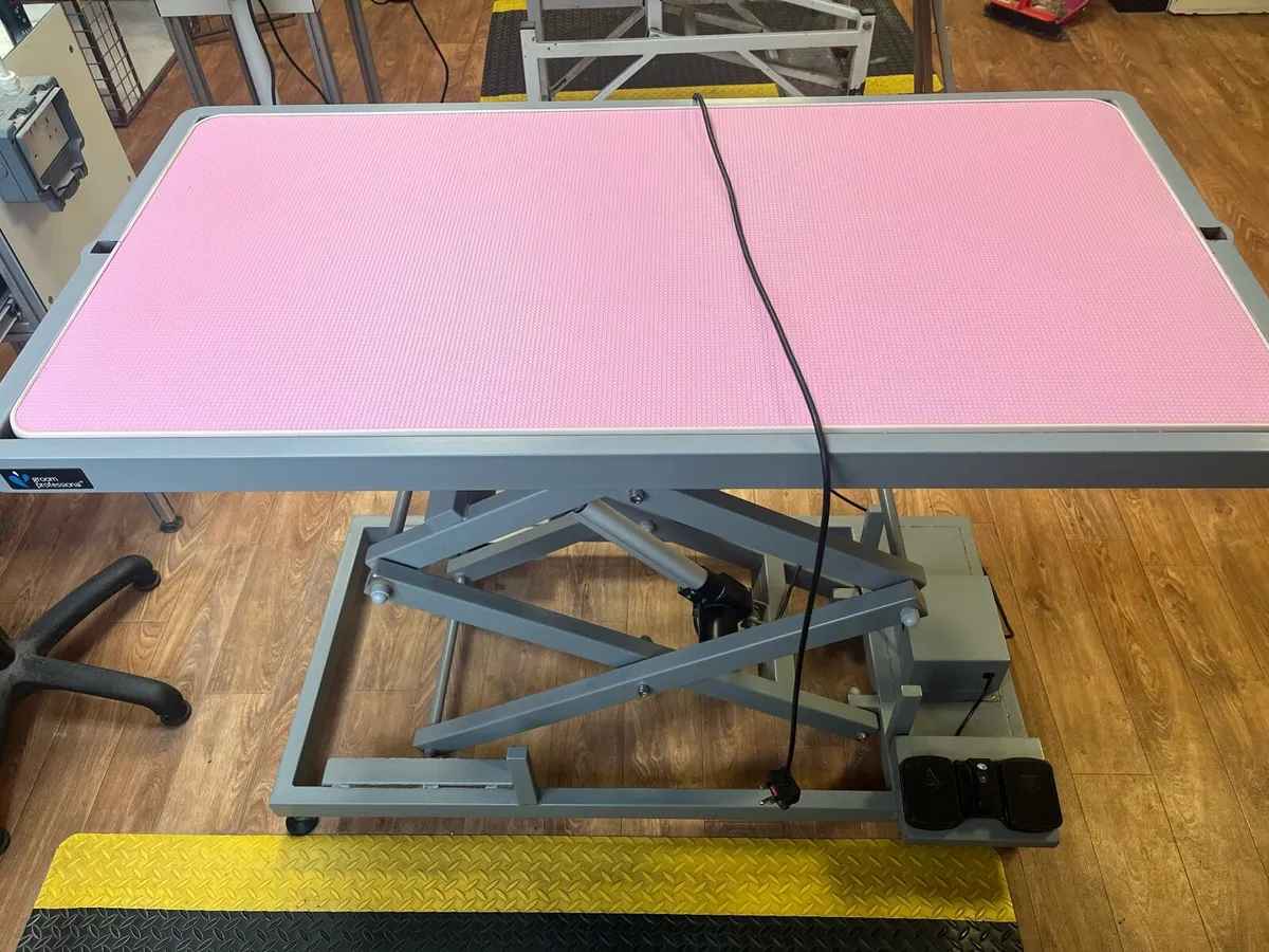 Dog grooming table - Image 1