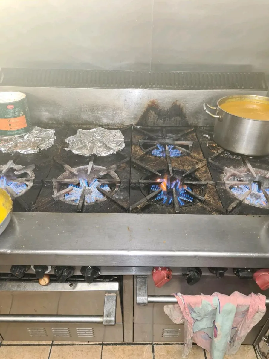 Tandoori oven and 8 burners of gas cooker - Image 3