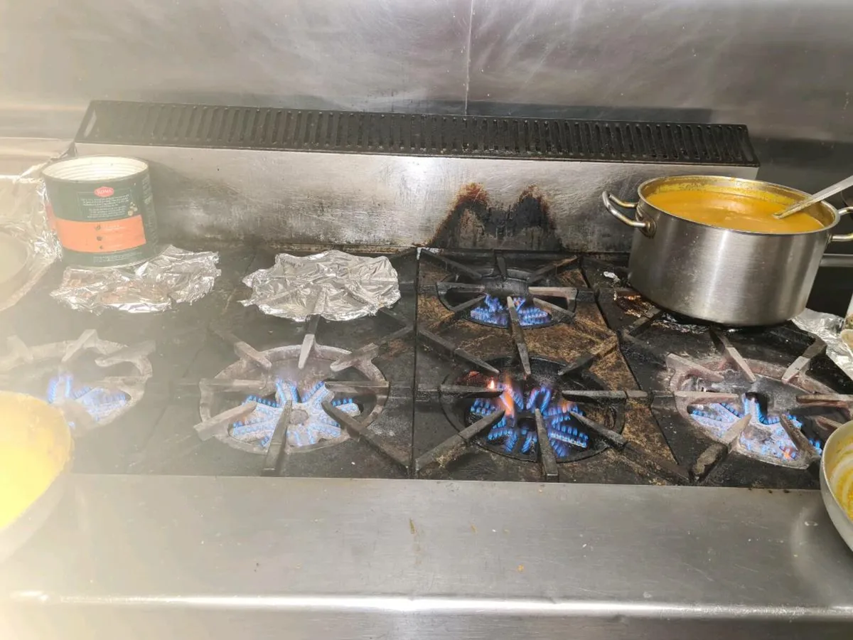 Tandoori oven and 8 burners of gas cooker - Image 4