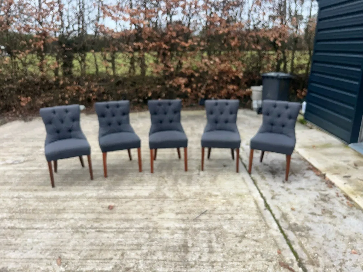 Dining chairs - Image 1