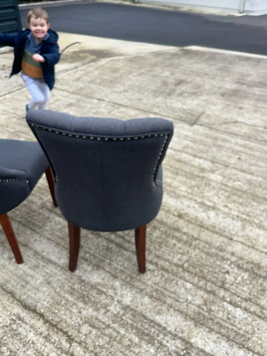 Dining chairs - Image 3