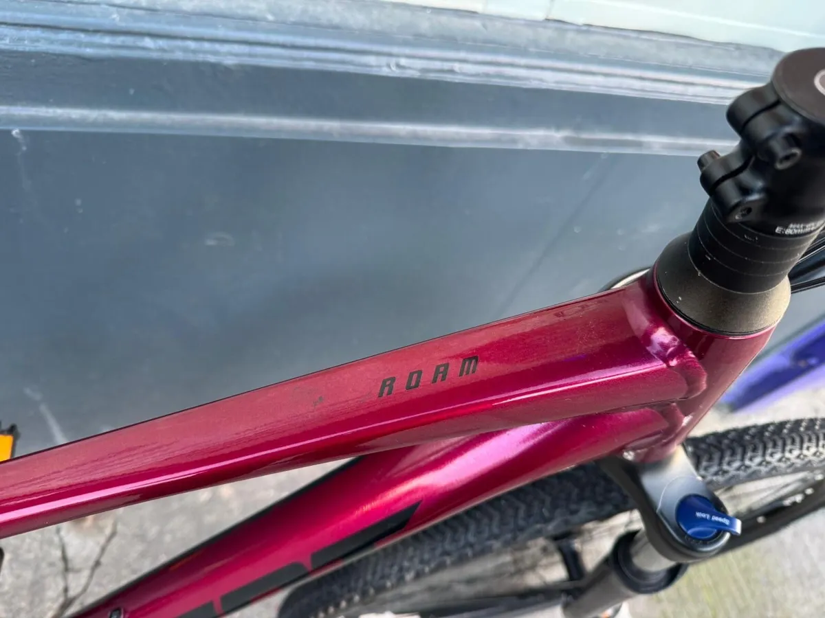 Giant Roam ❗️Open 7 days of the week ❗️ - Image 2