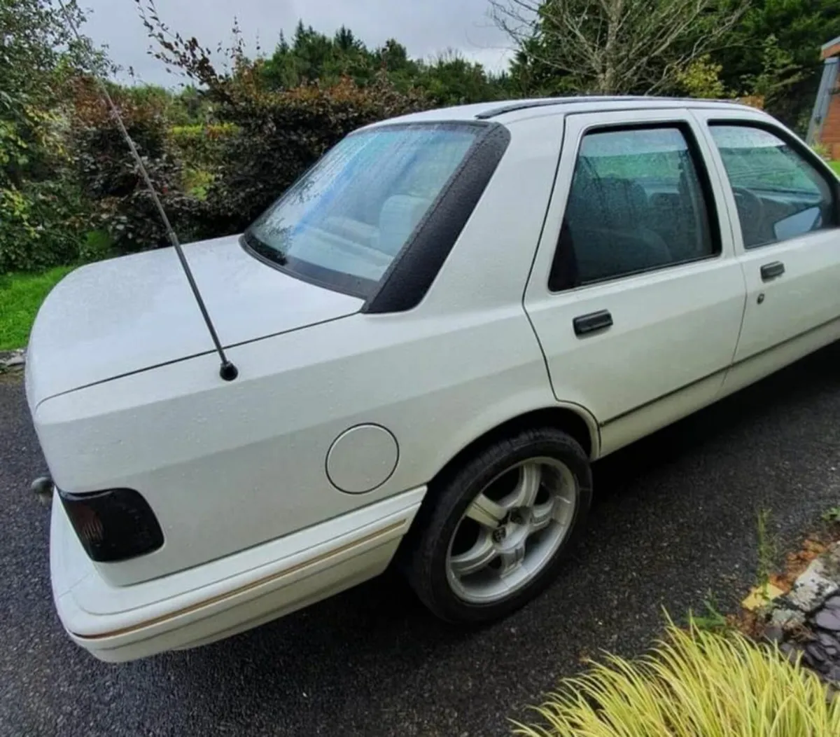 Ford Sierra - Image 2