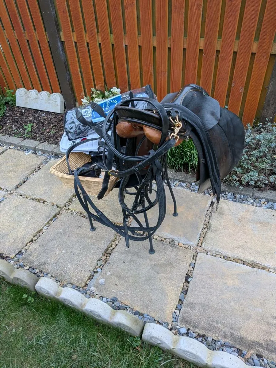 Equestrian complete horse riding set - Image 3