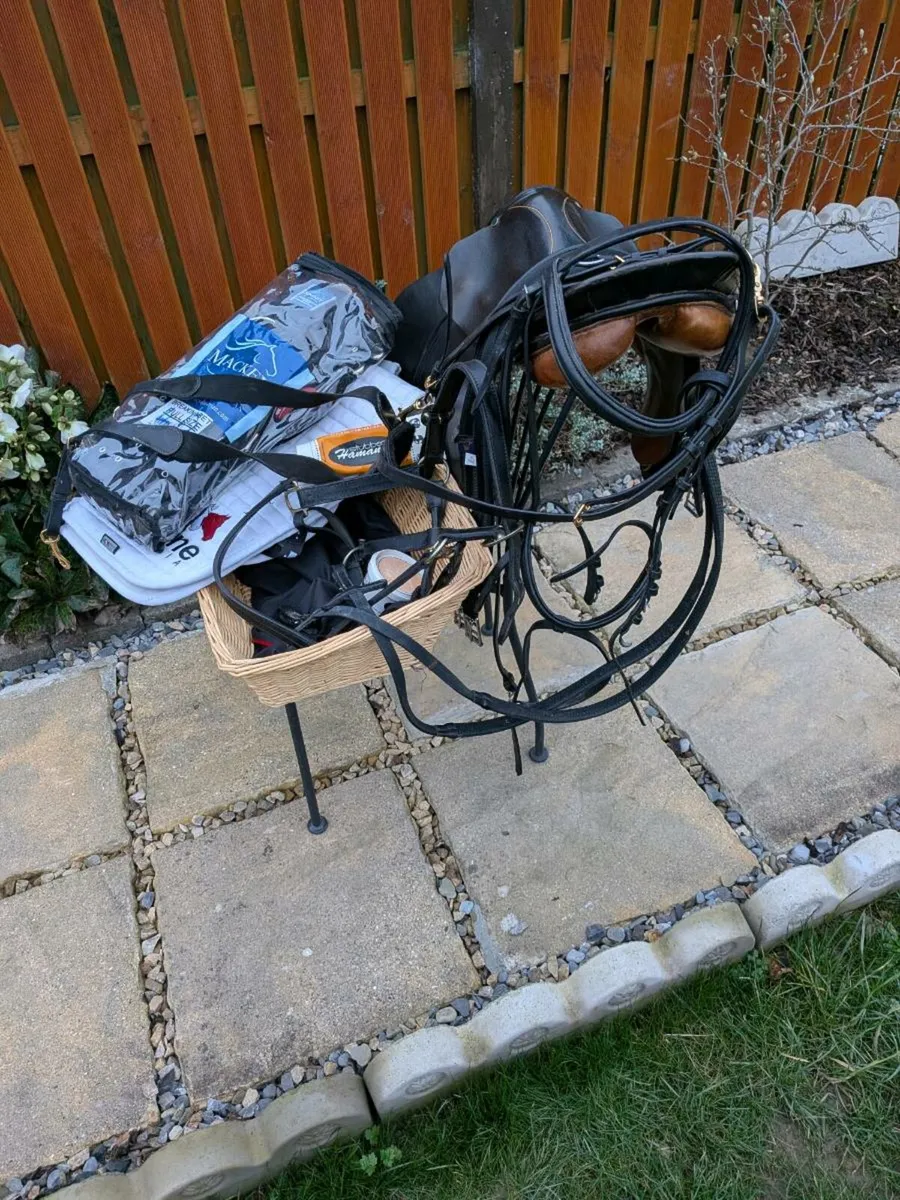 Equestrian complete horse riding set - Image 4