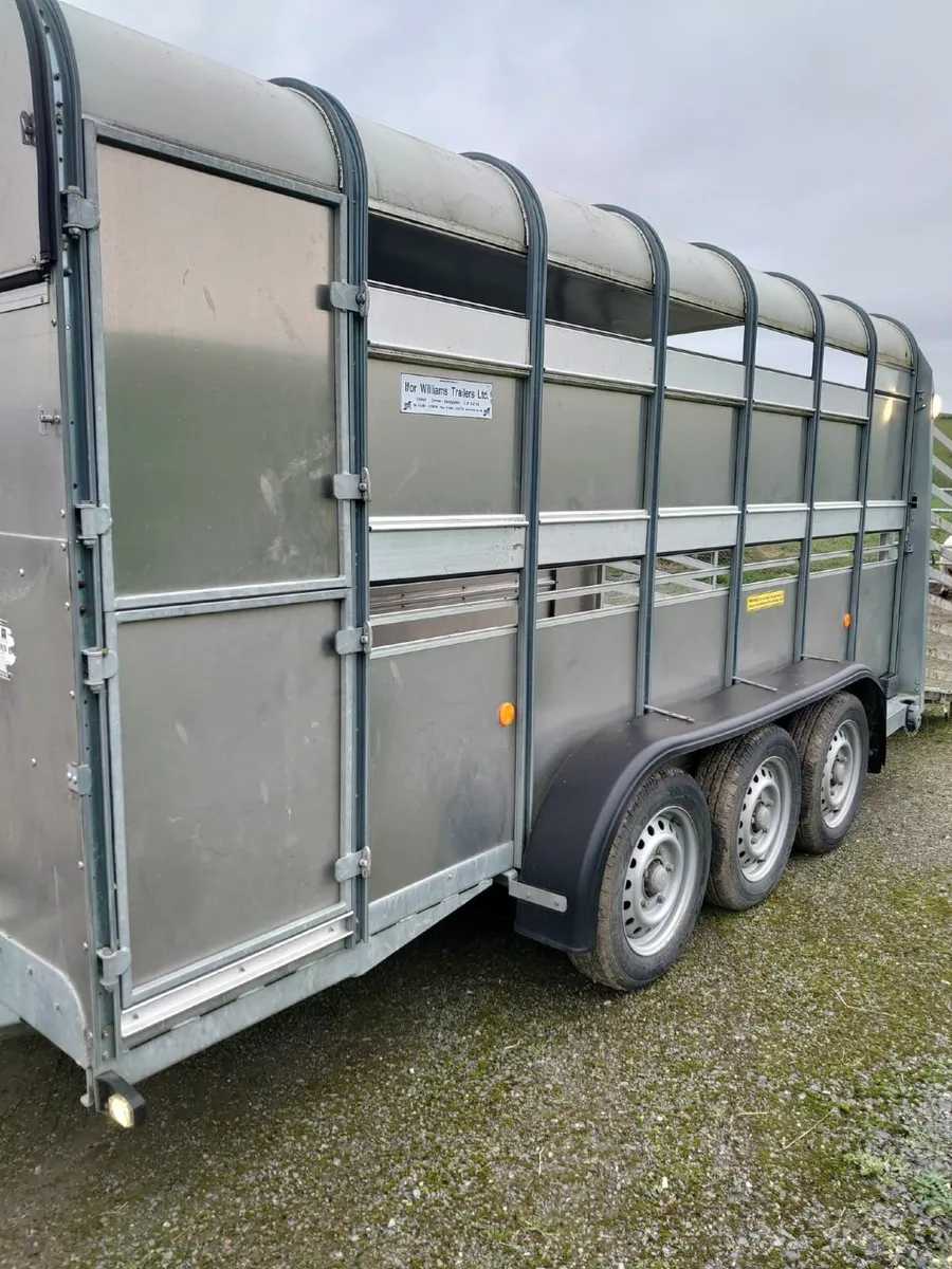 Ivor Williams 14ft tri axle trailer for sale - Image 2