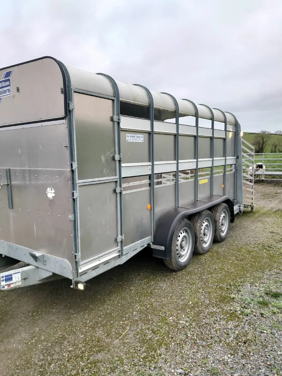 Ivor Williams 14ft tri axle trailer for sale - Image 3