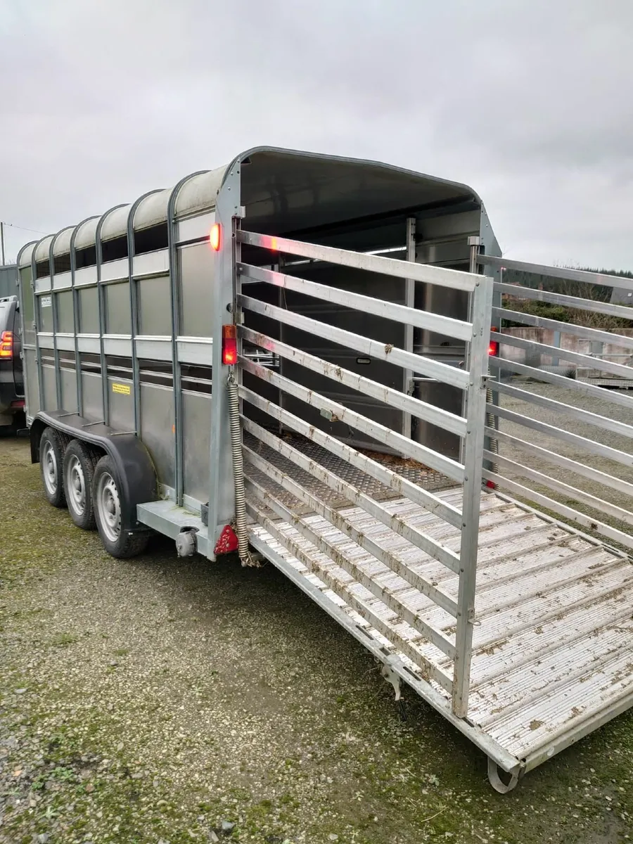Ivor Williams 14ft tri axle trailer for sale - Image 4