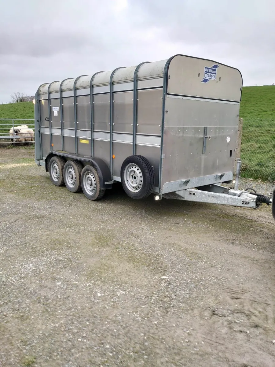 Ivor Williams 14ft tri axle trailer for sale - Image 1