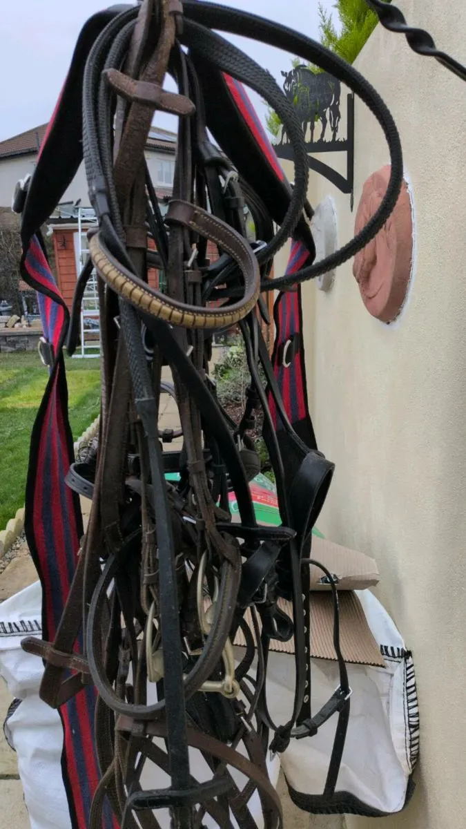 Complete Bridles *5