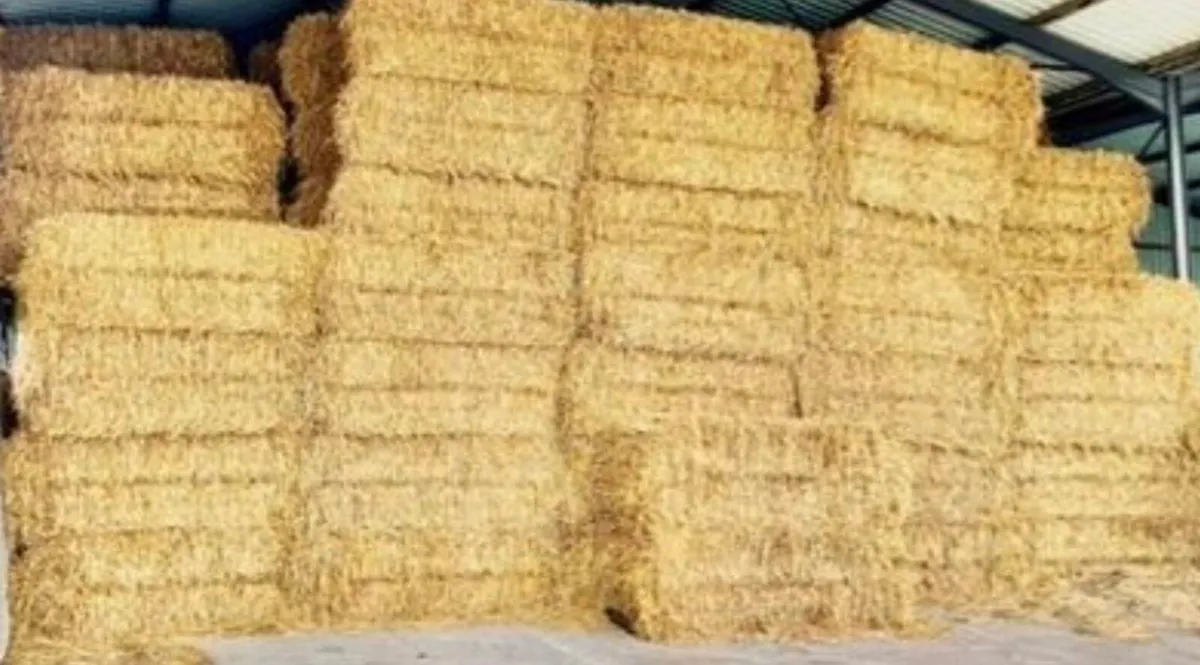 Oaten Straw 8x4x3