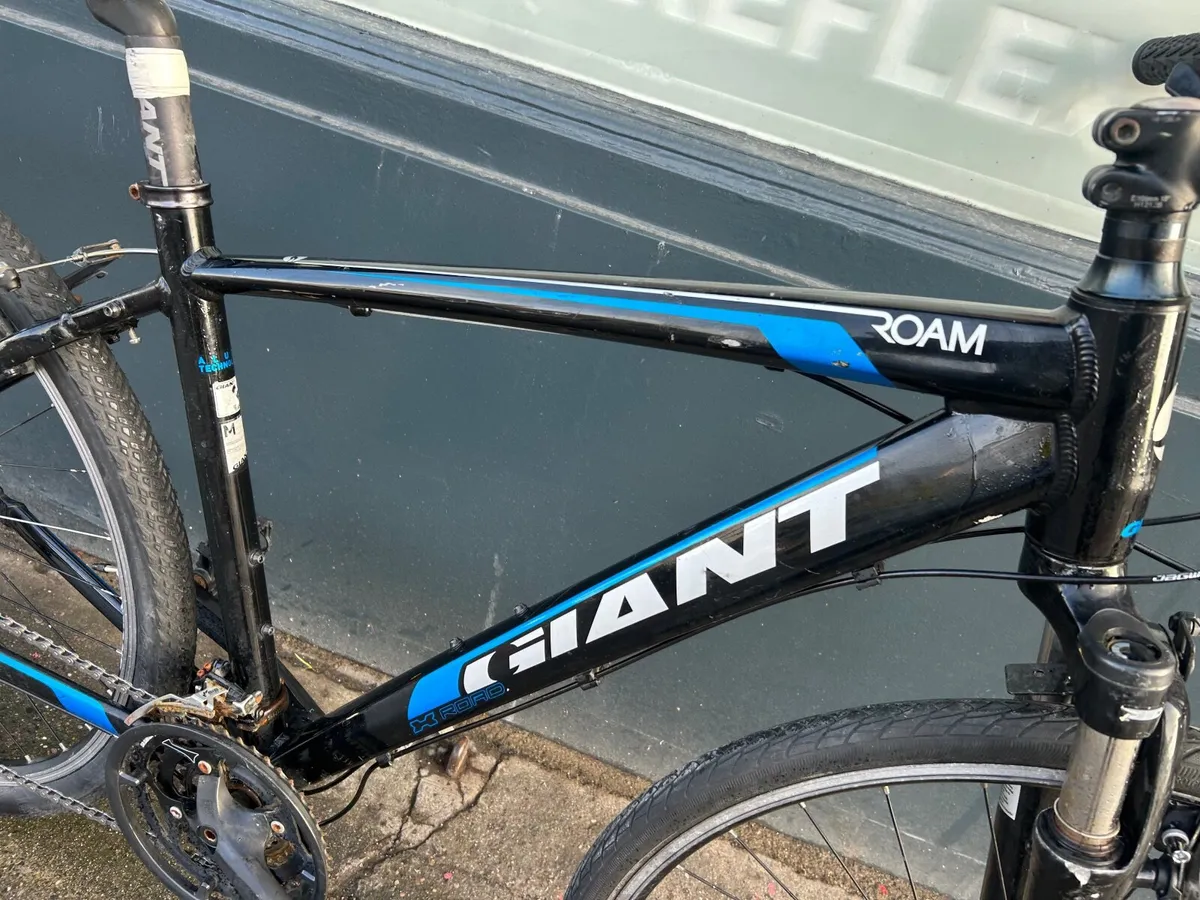 Giant Roam❗️Open 7 days of the week ❗️ - Image 3