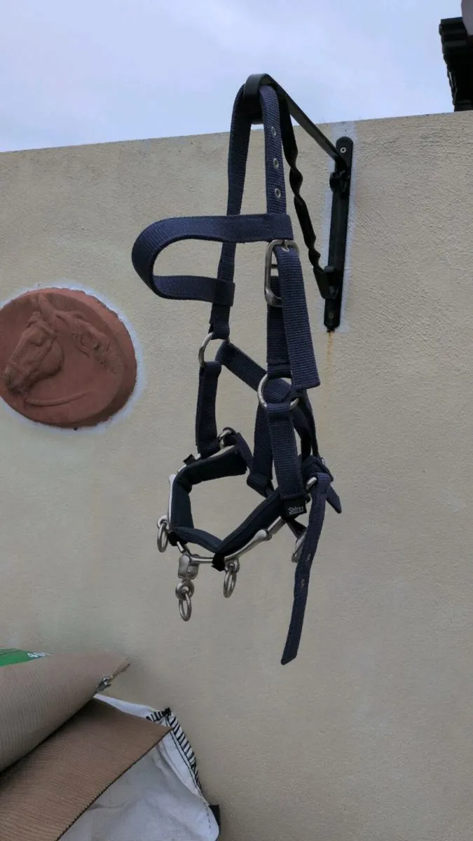 Leather head collars - Image 2